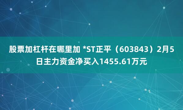 股票加杠杆在哪里加 *ST正平（603843）2月5日主力资金净买入1455.61万元